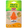 FRESCA FOGLIA BOCCHETTA ORANGE SOUR