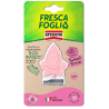 FRESCA FOGLIA BOCCHETTA SWEET ROSE