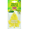 FRESCA FOGLIA LIME