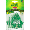FRESCA FOGLIA TRIS PINEWOOD